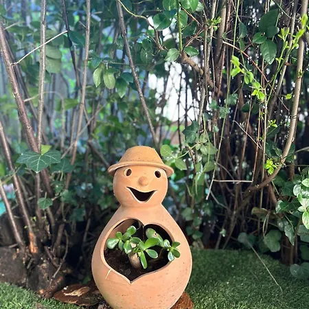 La Petite Garenne - T2 Climatise Et Jardin Prive Albi