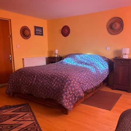 Apartment La Petite Garenne - T2 Climatise Et Jardin Prive Albi