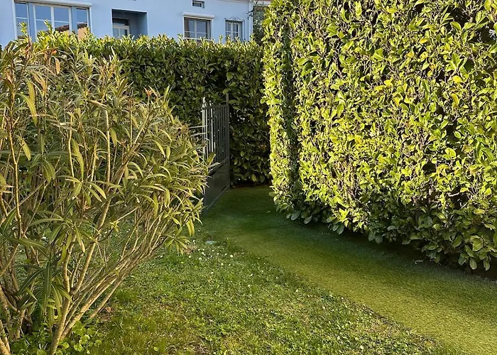 La Petite Garenne - T2 Climatise Et Jardin Prive Apartment Albi
